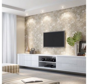 home theater (12)