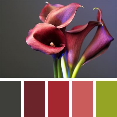 Combinação de cores: dicas para não errar na decoração de casa