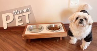 DIY mesa de cachorro comedouro pet (CAPA)